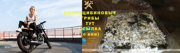 соль ск Снежинск