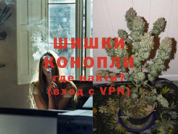 индика Алексеевка