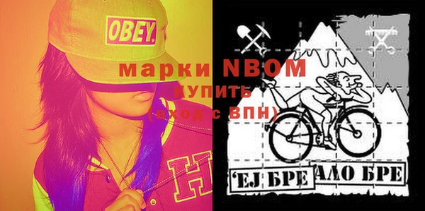 индика Алексеевка