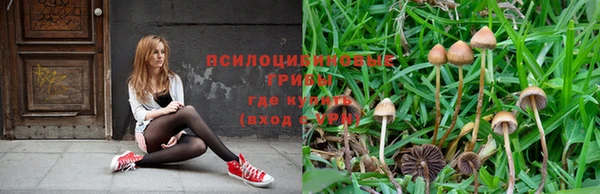 MDMA Алзамай