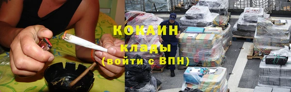 индика Алексеевка