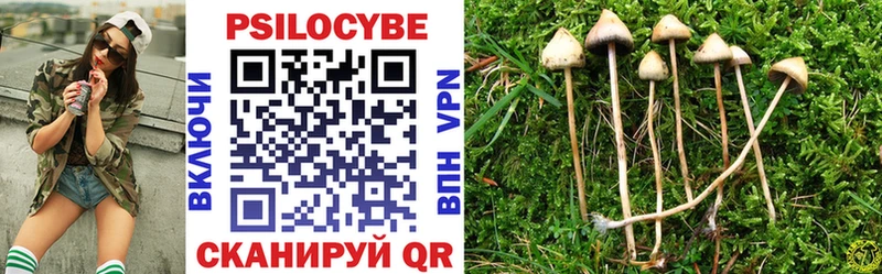 Псилоцибиновые грибы Magic Shrooms  купить   мега ONION  Челябинск 